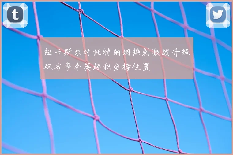 纽卡斯尔对托特纳姆热刺激战升级双方争夺英超积分榜位置